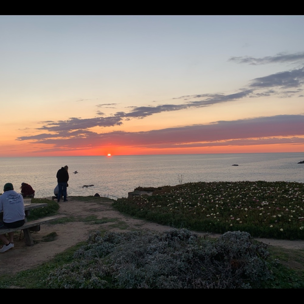 Meet your Posher, Aidan